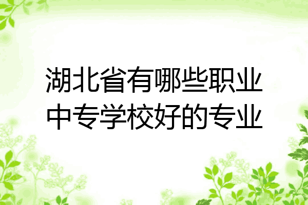 湖北省有哪些职业中专学校好的专业