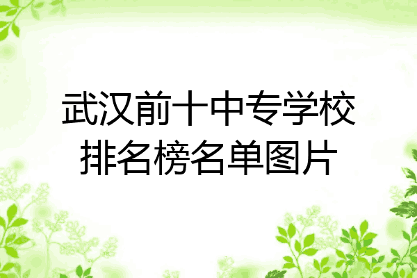 武汉前十中专学校排名榜名单图片