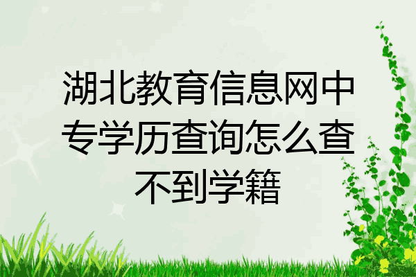湖北教育信息网中专学历查询怎么查不到学籍