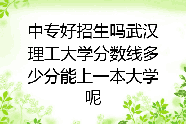 中专好招生吗武汉理工大学分数线多少分能上一本大学呢