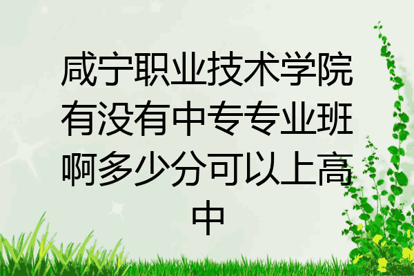 咸宁职业技术学院有没有中专专业班啊多少分可以上高中