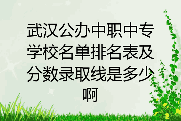武汉公办中职中专学校名单排名表及分数录取线是多少啊