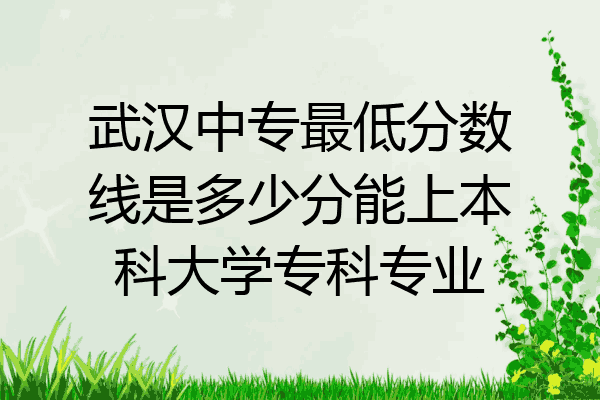 武汉中专最低分数线是多少分能上本科大学专科专业