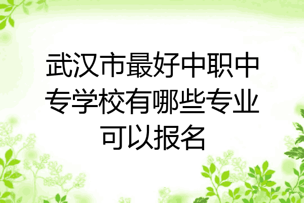 武汉市最好中职中专学校有哪些专业可以报名