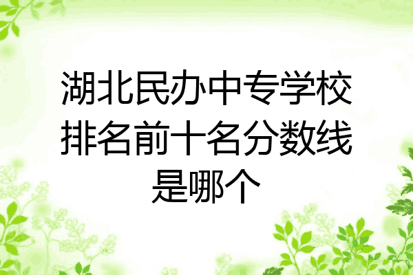 湖北民办中专学校排名前十名分数线是哪个