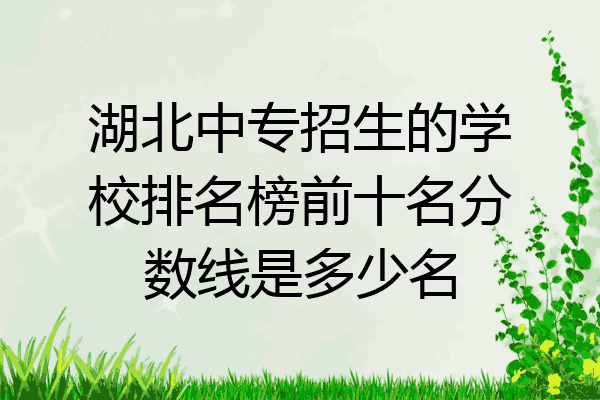 湖北中专招生的学校排名榜前十名分数线是多少名