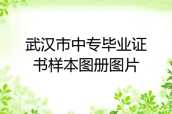 武汉市中专毕业证书样本图册图片
