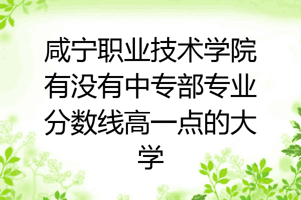 咸宁职业技术学院有没有中专部专业分数线高一点的大学