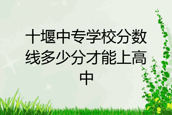 十堰中专学校分数线多少分才能上高中