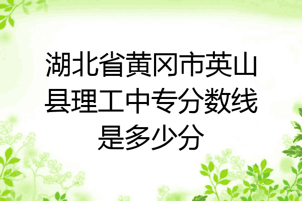 湖北省黄冈市英山县理工中专分数线是多少分