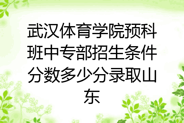 武汉体育学院预科班中专部招生条件分数多少分录取山东