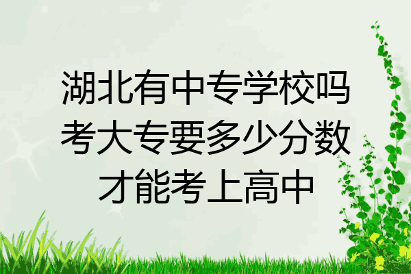 湖北有中专学校吗考大专要多少分数才能考上高中