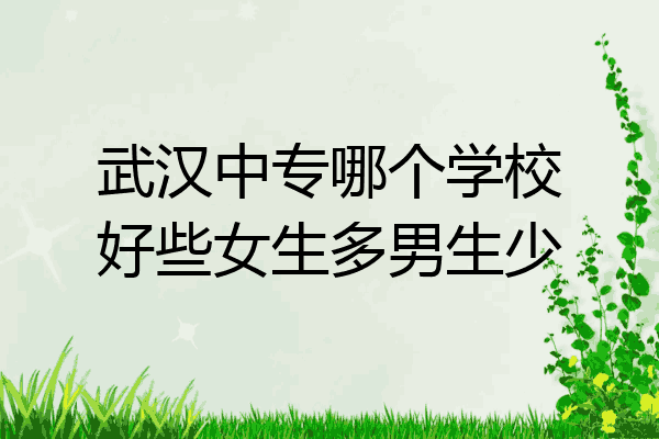 武汉中专哪个学校好些女生多男生少
