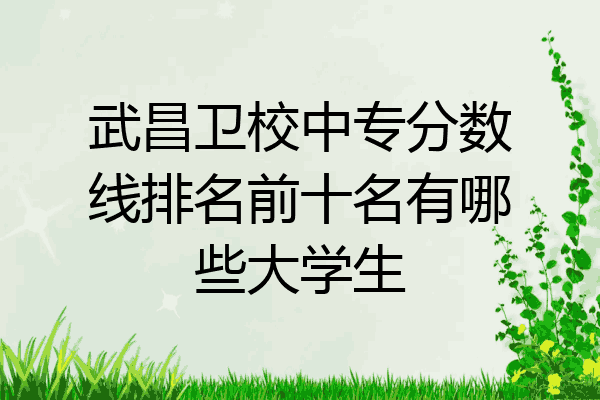 武昌卫校中专分数线排名前十名有哪些大学生
