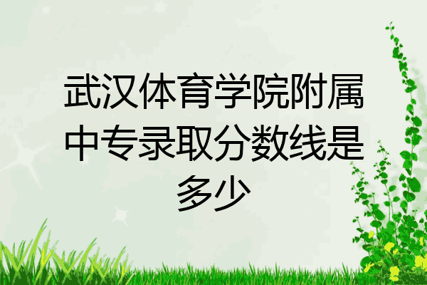 武汉体育学院附属中专录取分数线是多少