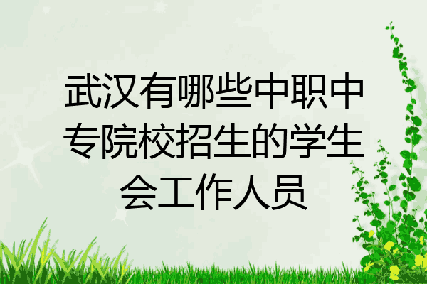 武汉有哪些中职中专院校招生的学生会工作人员