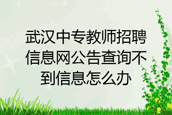 武汉中专教师招聘信息网公告查询不到信息怎么办