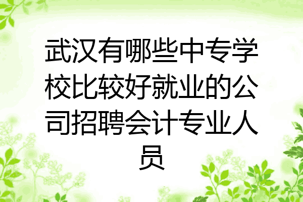 武汉有哪些中专学校比较好就业的公司招聘会计专业人员