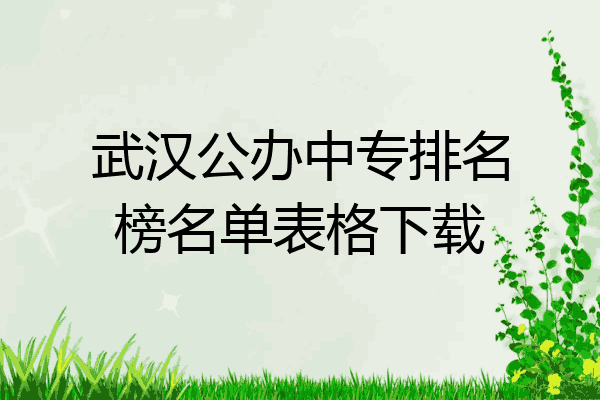 武汉公办中专排名榜名单表格下载