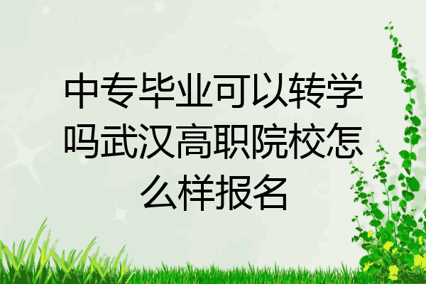 中专毕业可以转学吗武汉高职院校怎么样报名
