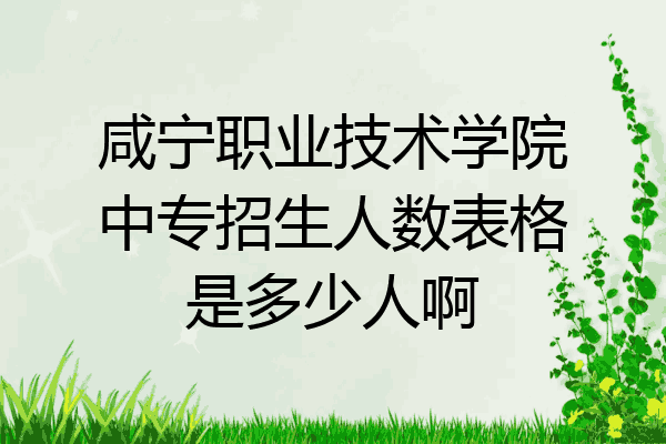 咸宁职业技术学院中专招生人数表格是多少人啊