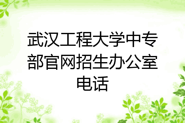 武汉工程大学中专部官网招生办公室电话