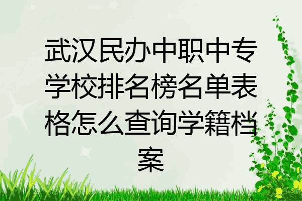 武汉民办中职中专学校排名榜名单表格怎么查询学籍档案