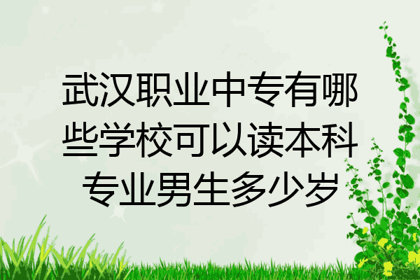 武汉职业中专有哪些学校可以读本科专业男生多少岁