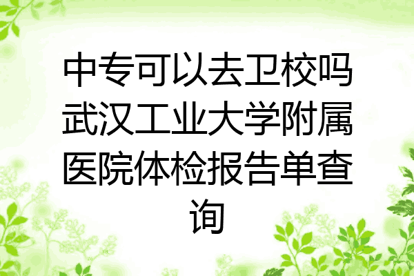 中专可以去卫校吗武汉工业大学附属医院体检报告单查询