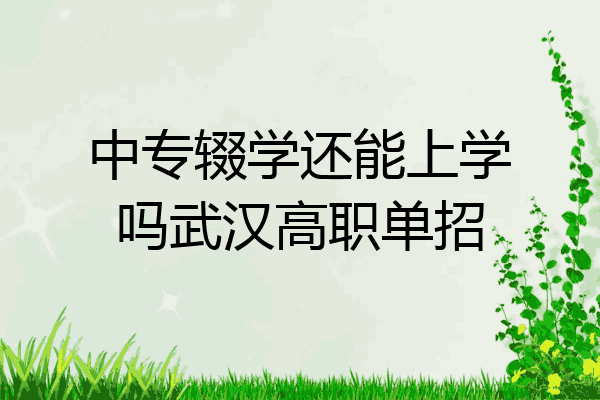 中专辍学还能上学吗武汉高职单招