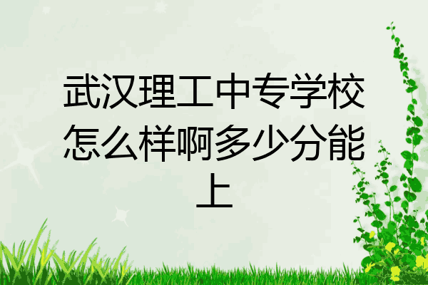 武汉理工中专学校怎么样啊多少分能上