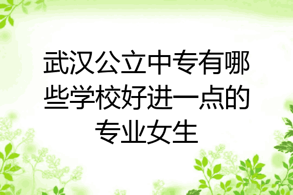 武汉公立中专有哪些学校好进一点的专业女生