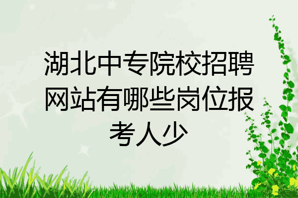 湖北中专院校招聘网站有哪些岗位报考人少