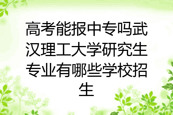 高考能报中专吗武汉理工大学研究生专业有哪些学校招生