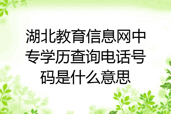湖北教育信息网中专学历查询电话号码是什么意思