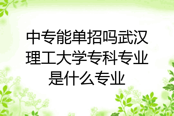 中专能单招吗武汉理工大学专科专业是什么专业