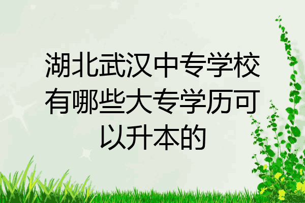 湖北武汉中专学校有哪些大专学历可以升本的