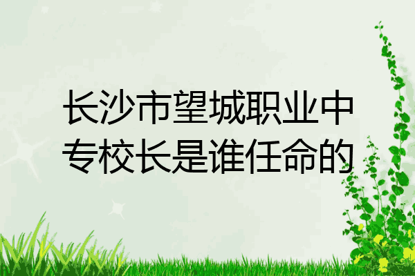 长沙市望城职业中专校长是谁任命的