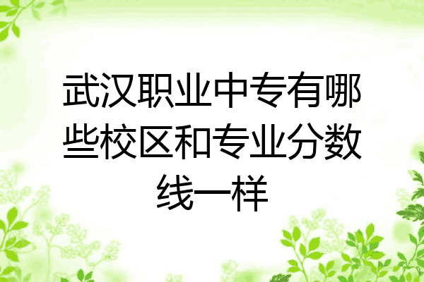 武汉职业中专有哪些校区和专业分数线一样