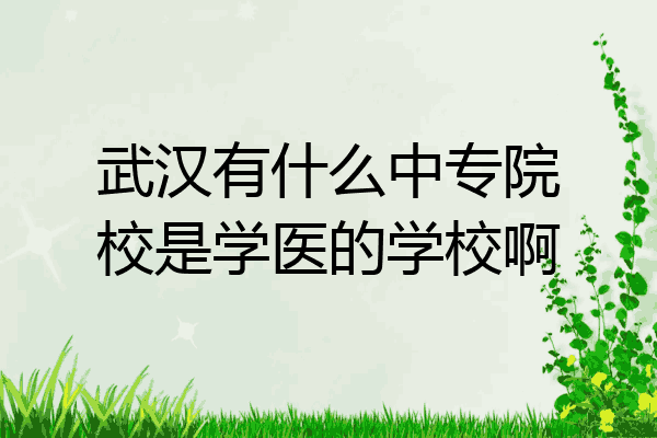 武汉有什么中专院校是学医的学校啊