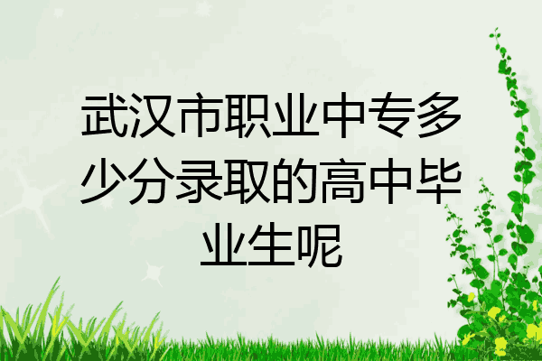 武汉市职业中专多少分录取的高中毕业生呢