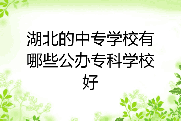 湖北的中专学校有哪些公办专科学校好