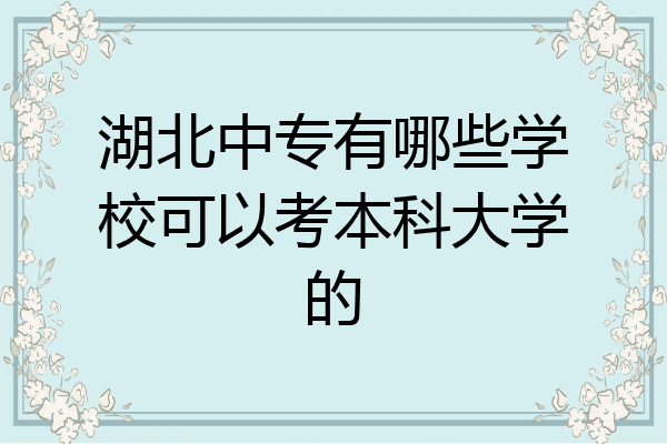 湖北中专有哪些学校可以考本科大学的