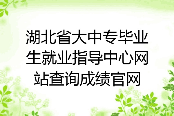 湖北省大中专毕业生就业指导中心网站查询成绩官网
