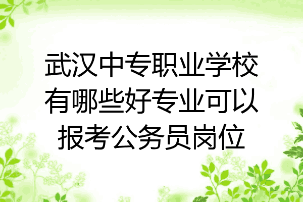 武汉中专职业学校有哪些好专业可以报考公务员岗位