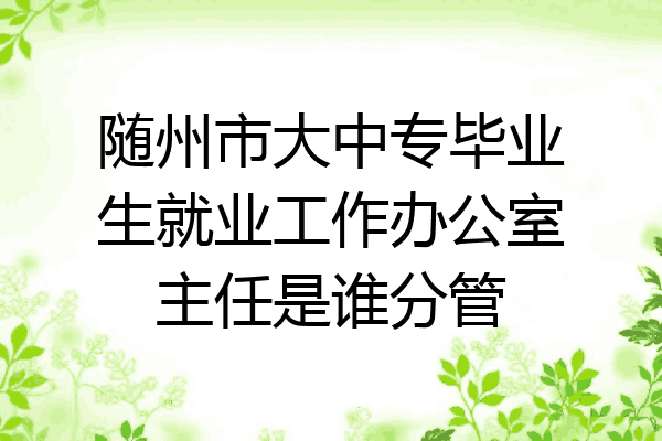 随州市大中专毕业生就业工作办公室主任是谁分管