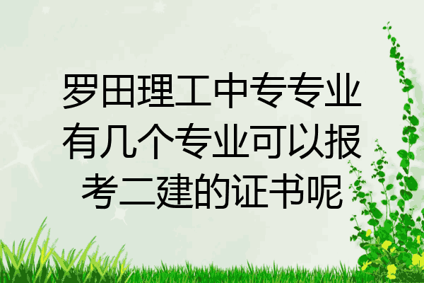 罗田理工中专专业有几个专业可以报考二建的证书呢