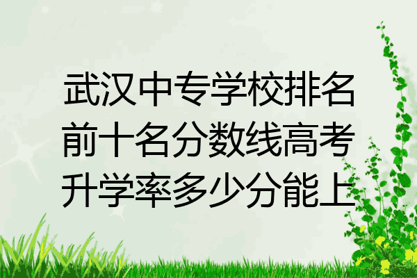 武汉中专学校排名前十名分数线高考升学率多少分能上