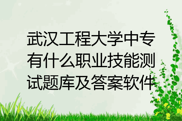 武汉工程大学中专有什么职业技能测试题库及答案软件