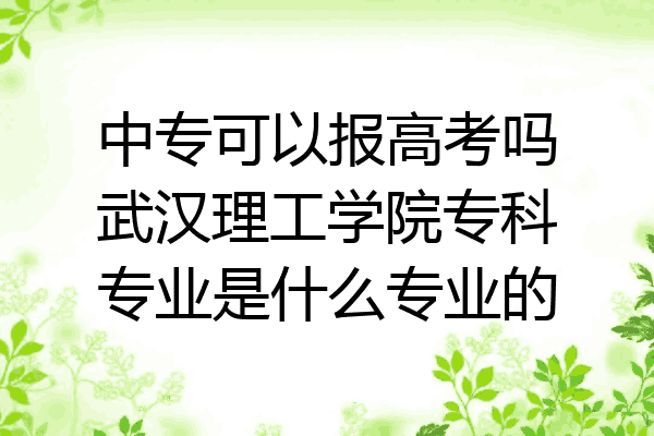 中专可以报高考吗武汉理工学院专科专业是什么专业的